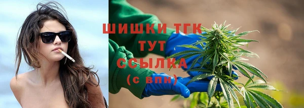 тгк Ладушкин